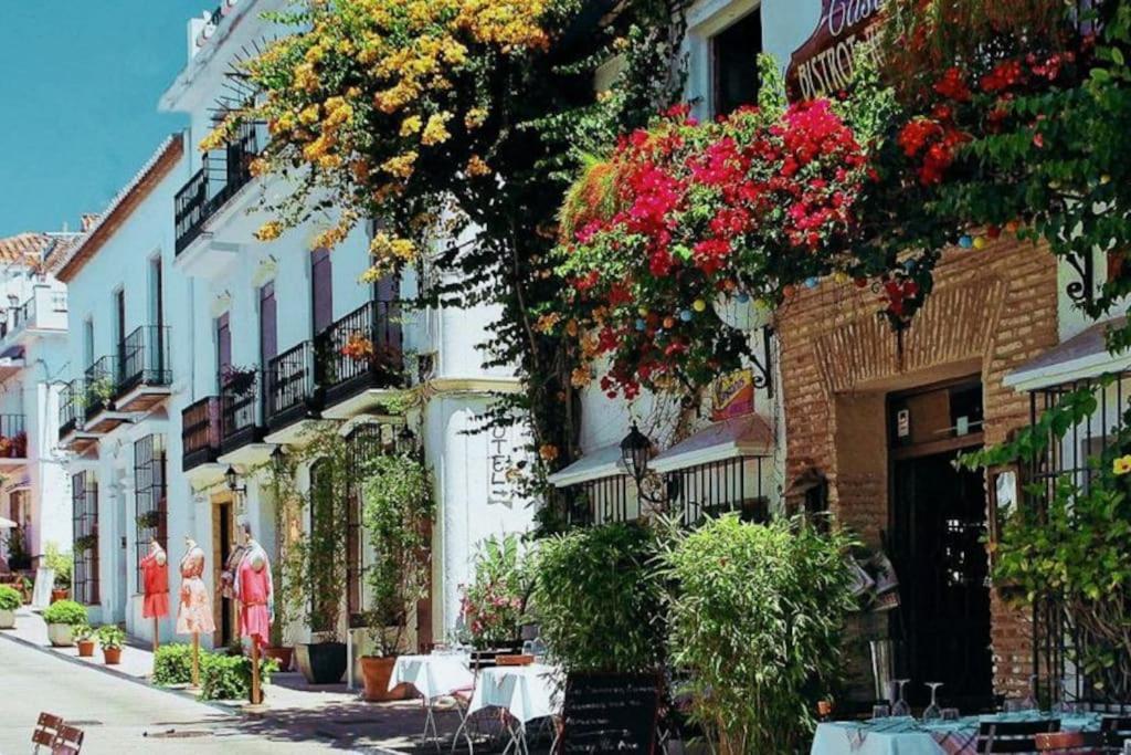 Apartment Oasis 100 Meters From With Private Parking